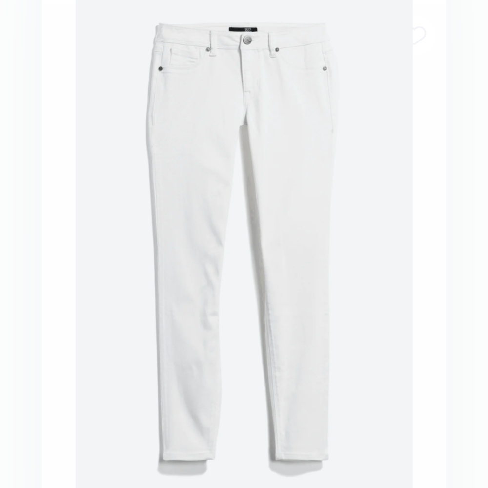 1822 Denim Wynter Skinny Jean